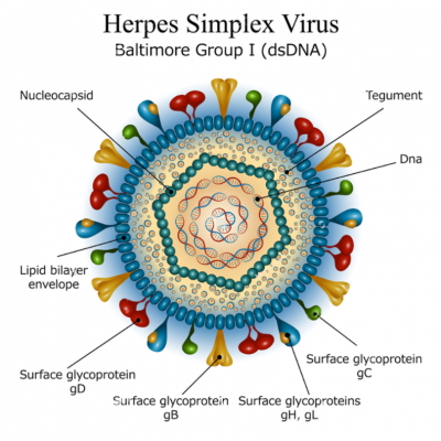 wmremove-transformed (1)