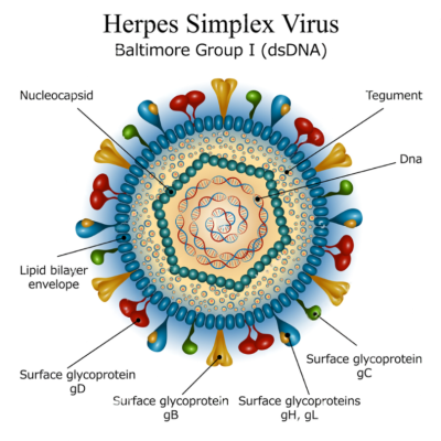 wmremove-transformed (1)